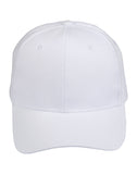 Heavy Brushed Cotton Structured Cap CH01